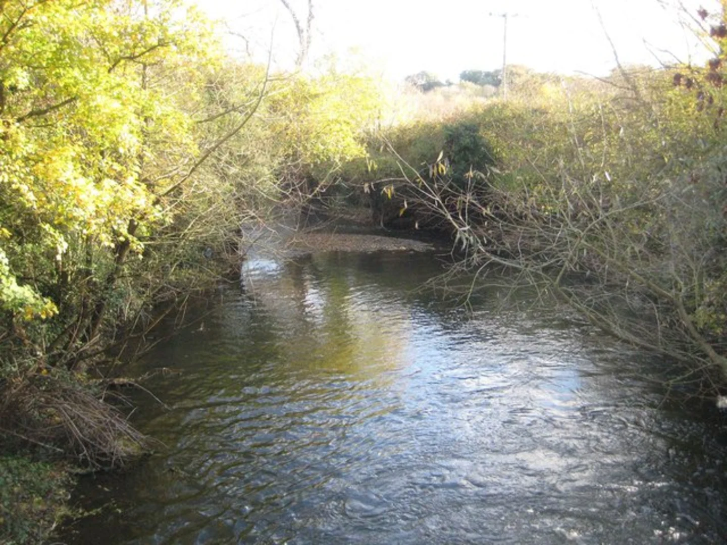 An image depicting the trail North Fareham Loop and its surrounding area.