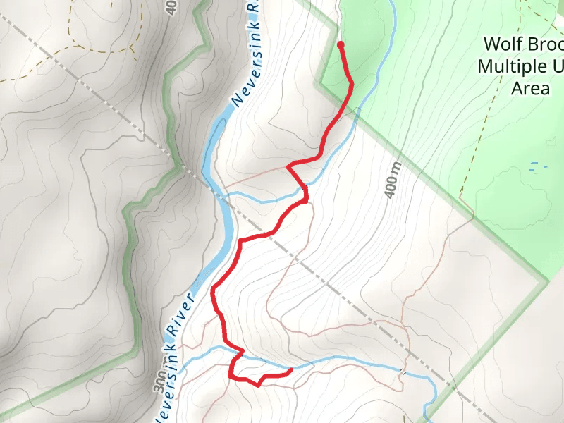 Mullet Brook Trail