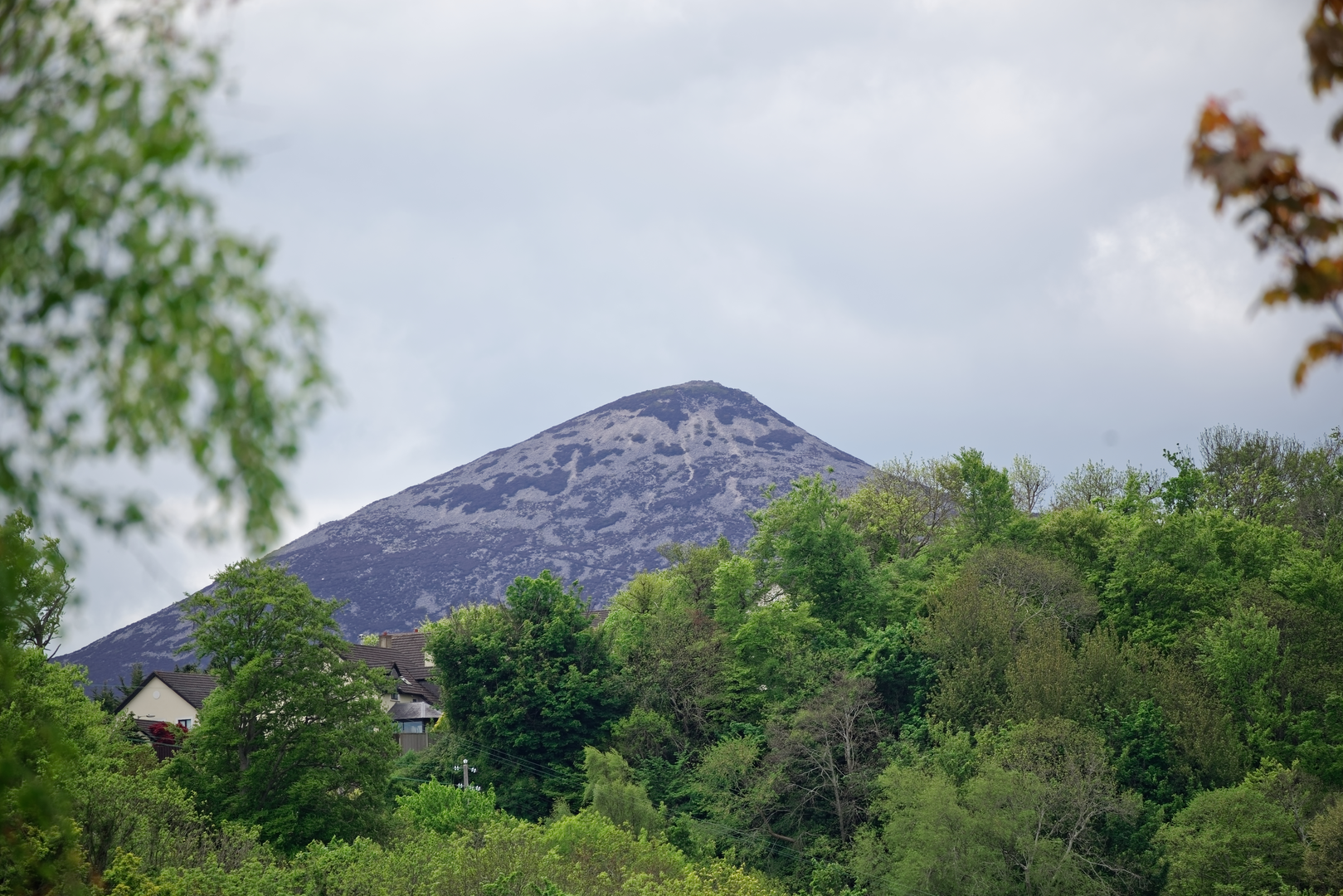 An image depicting the trail Great Sugar Loaf Loop and its surrounding area.