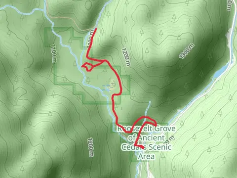 North Fork Granite Creek via Granite Roosevelt Cedar Grove Trail
