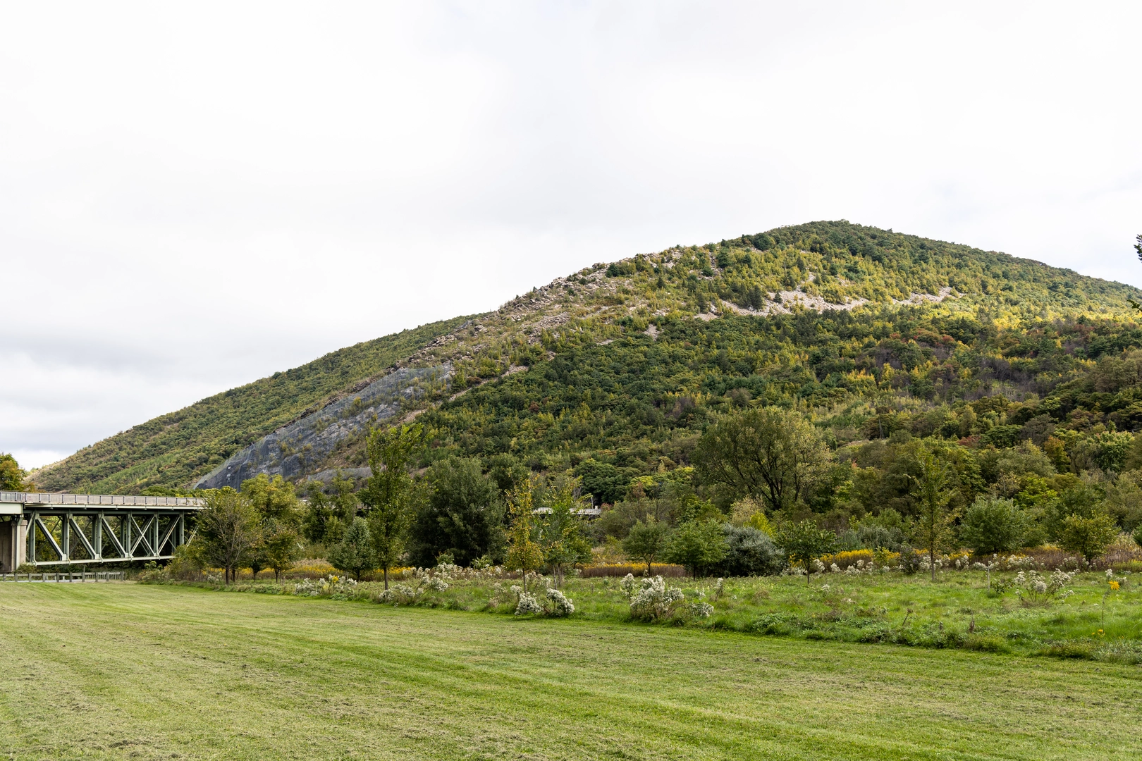An image depicting the trail Weiders Crossing - Winter Loop Trail and its surrounding area.