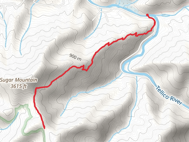Sugar Mountain via Benton MacKaye Trail