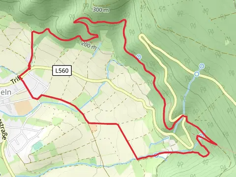 Zick-Zack-Weg and Hein-Koss-Steig Loop