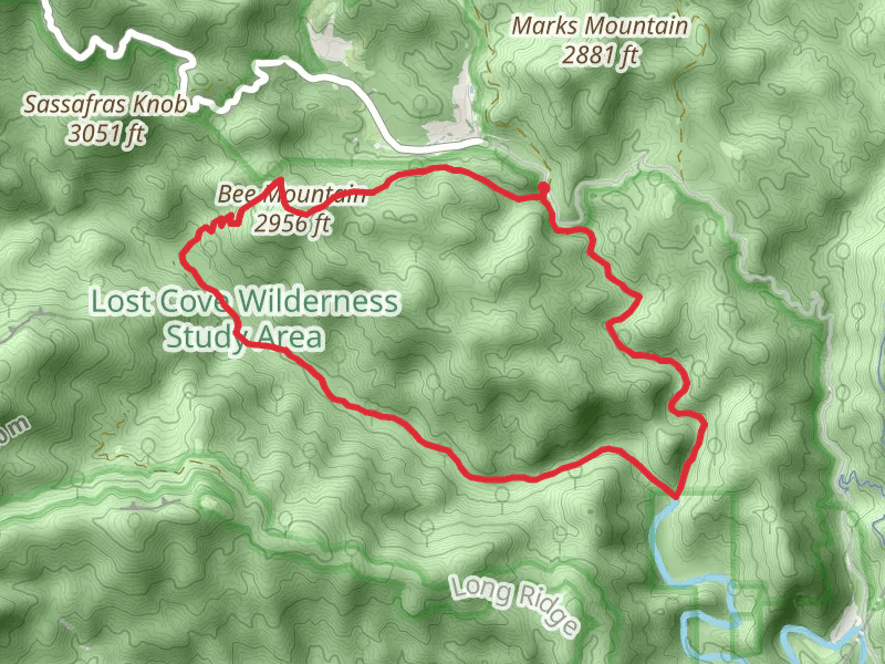 Lost Cove Loop Trail