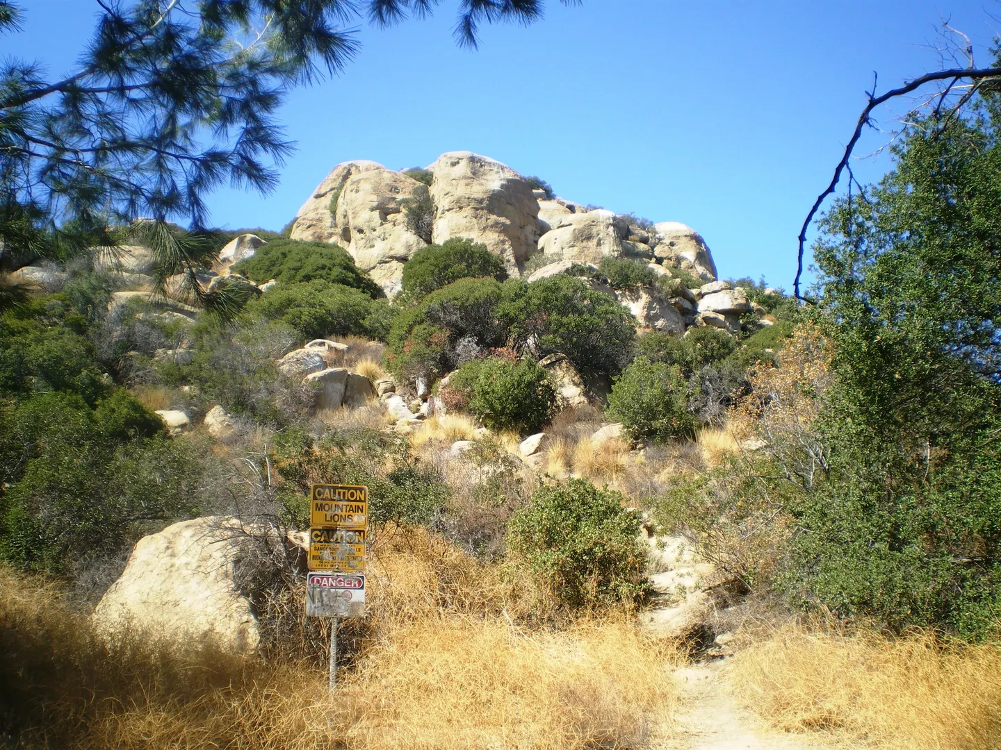 An image depicting the trail Stoney Point and Creek Loop and its surrounding area.