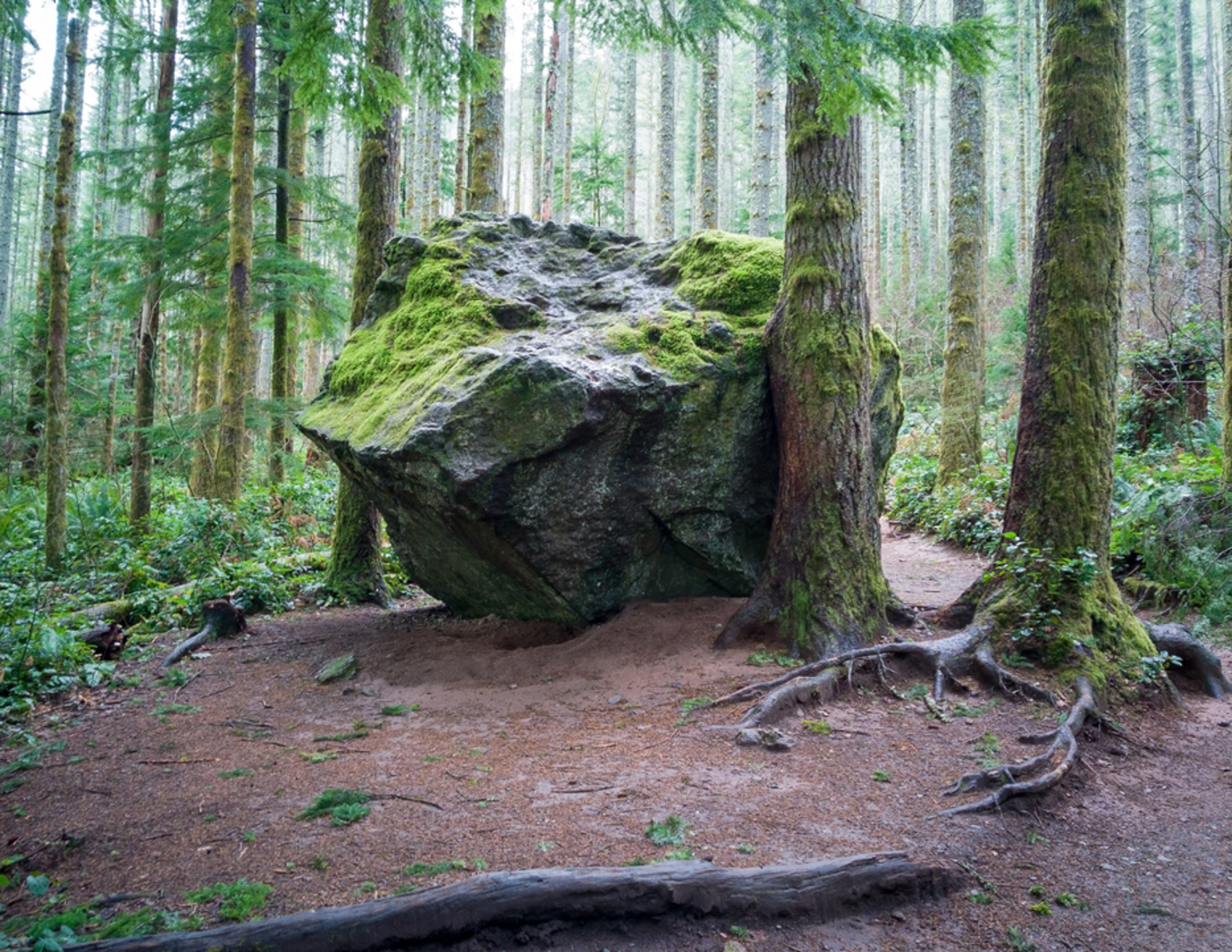 An image depicting the trail Rattlesnake Peaks Trail and its surrounding area.