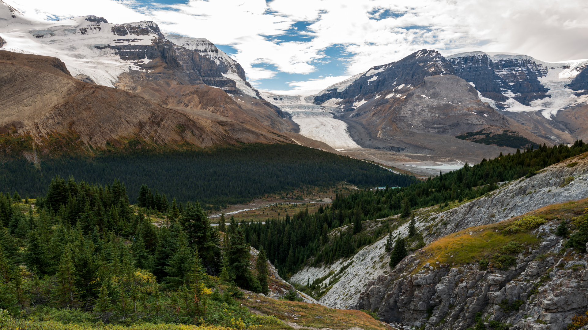 An image depicting the trail Athabasca Pass Trail and its surrounding area.