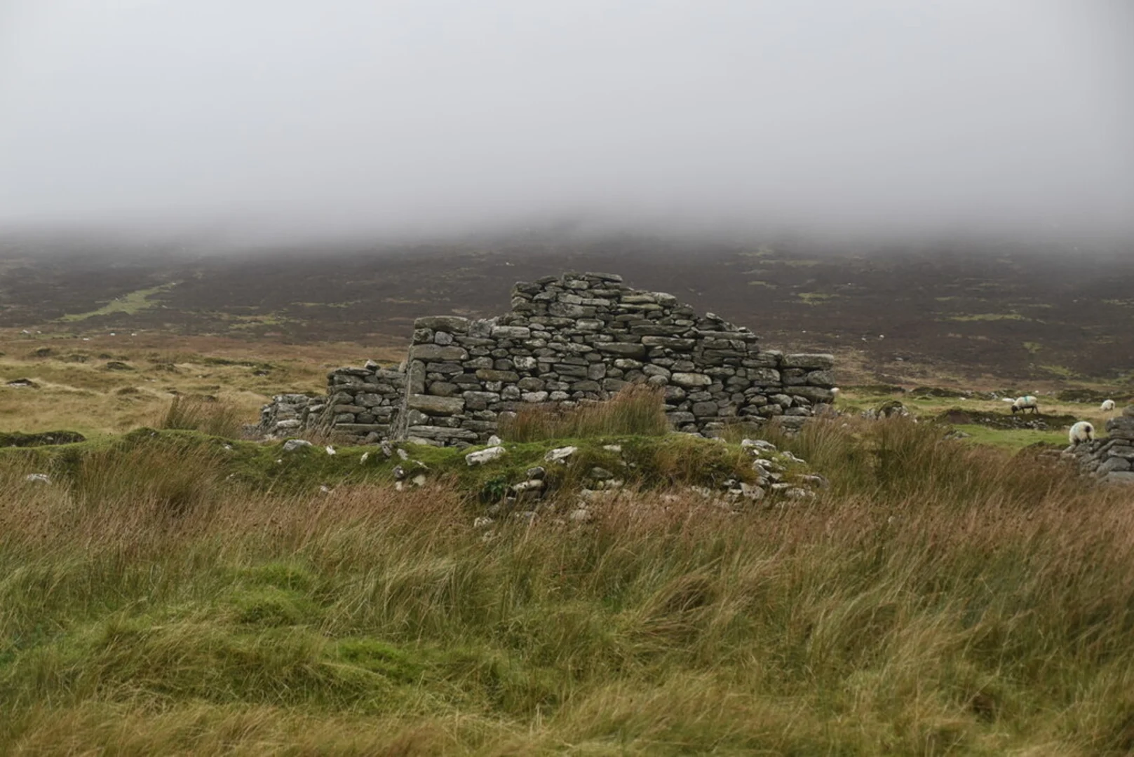 An image depicting the trail Slievemore Loop and its surrounding area.