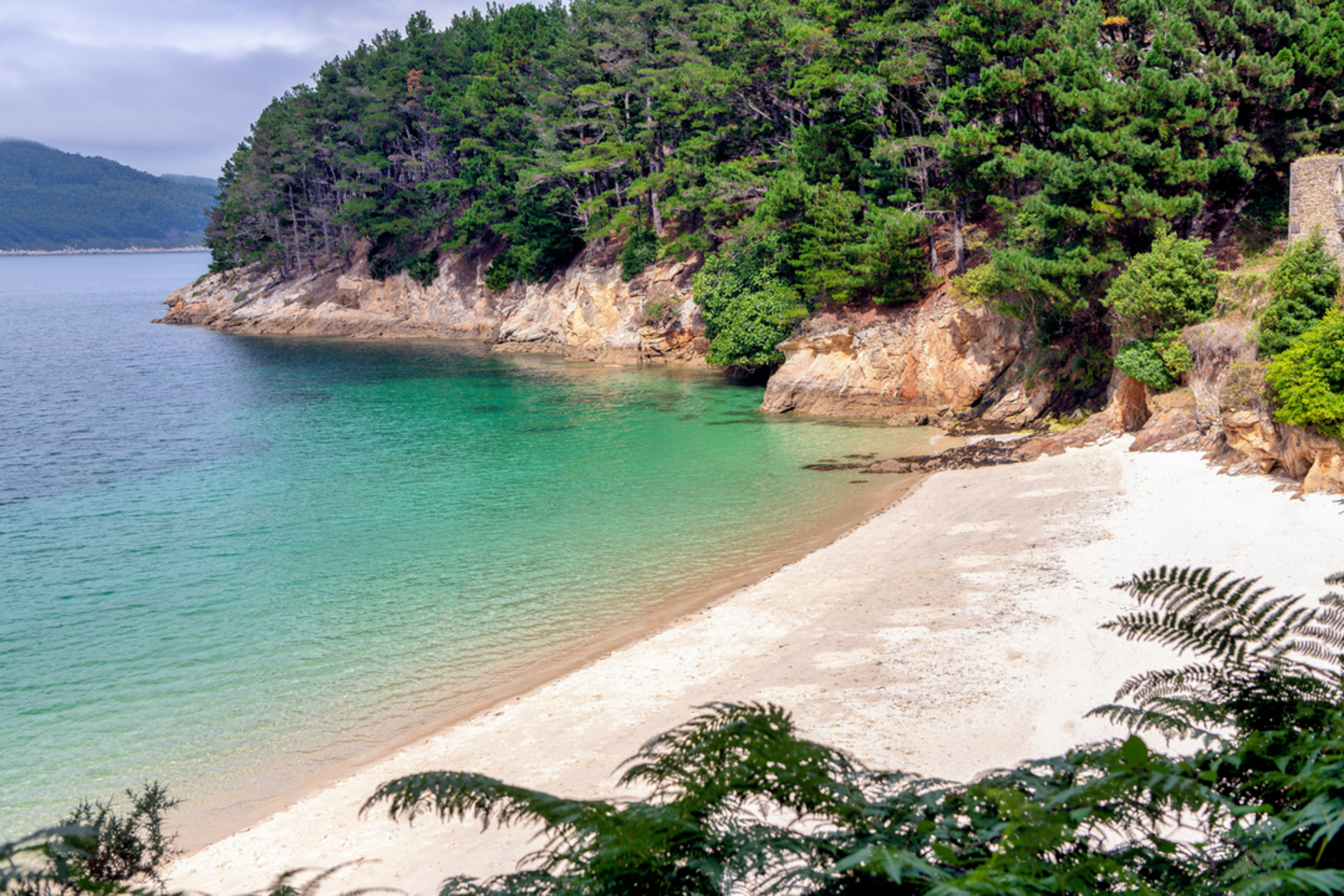 An image depicting the trail O Vicedo Coast Route PR G 156 and its surrounding area.