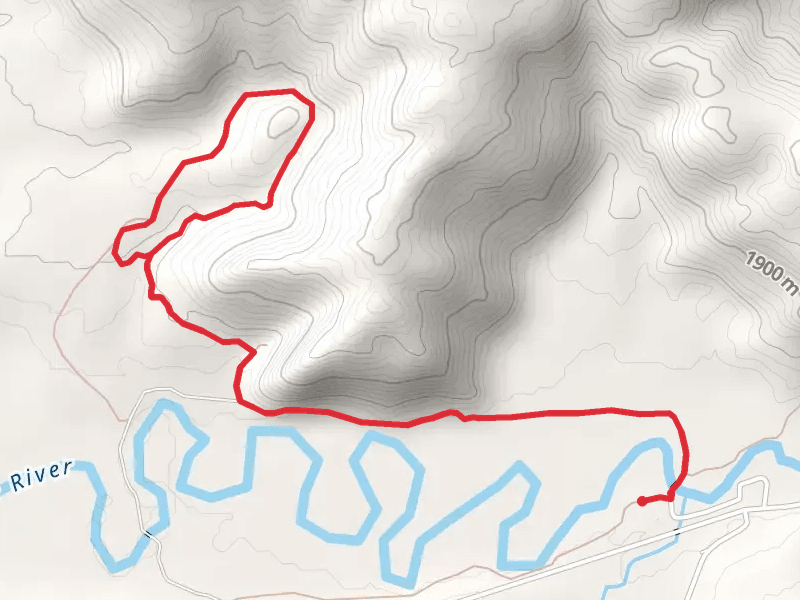 Martin's Cove Loop