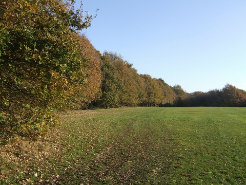 Bloxwich to Landywood Walk