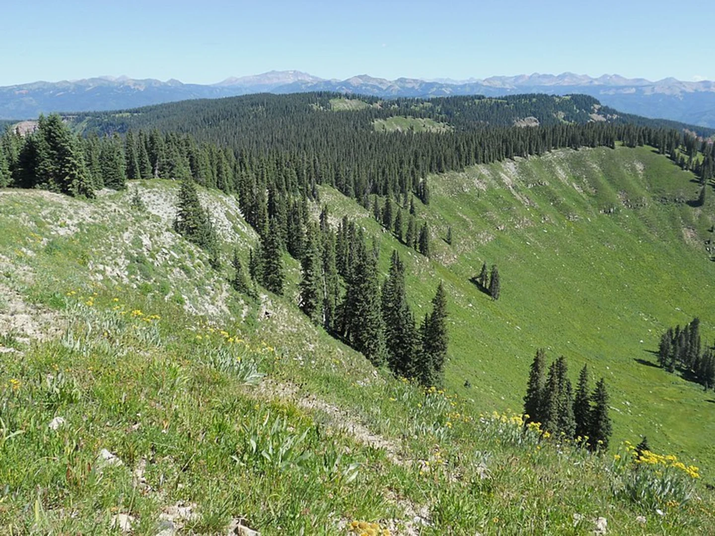 An image depicting the trail Clampett Mill Trail and its surrounding area.