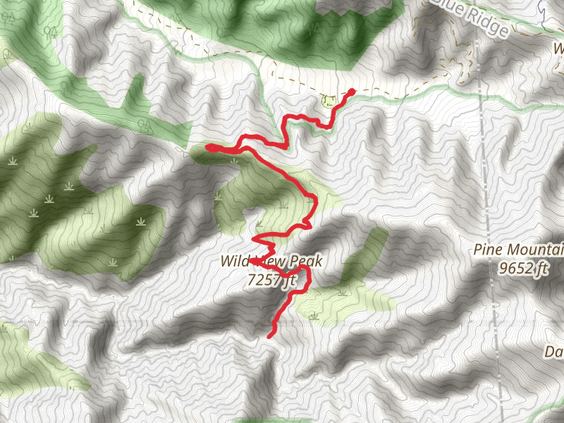 Fish Fork Trail