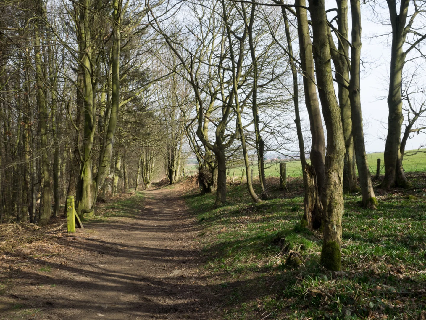An image depicting the trail River Deerness, Rag Path Wood, Hill House Loop and its surrounding area.