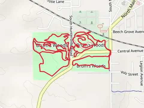 Brum's Wood Loop