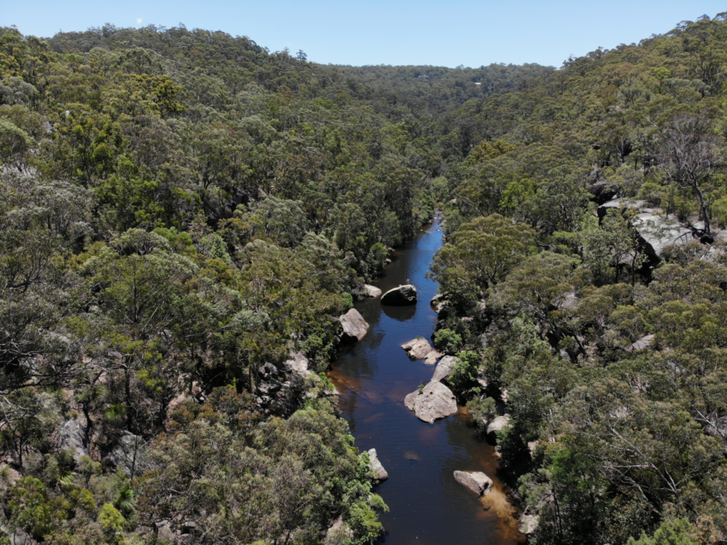 An image depicting the trail Jellybean Track and its surrounding area.