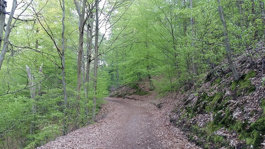 Wanderweg Stelzenberg Horst