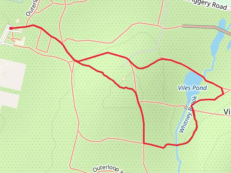 Viles Pond Loop Trail