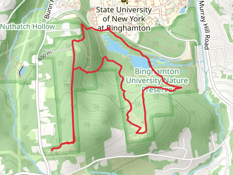 Harpur Pond Loop