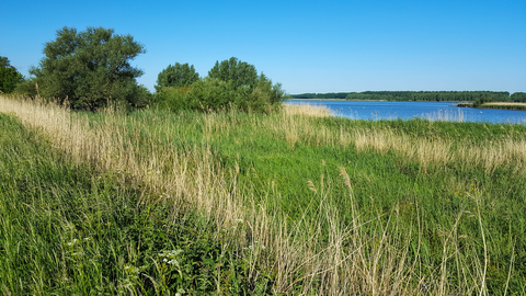 Woudrichem to Dordrecht via Nieuwe Merwede