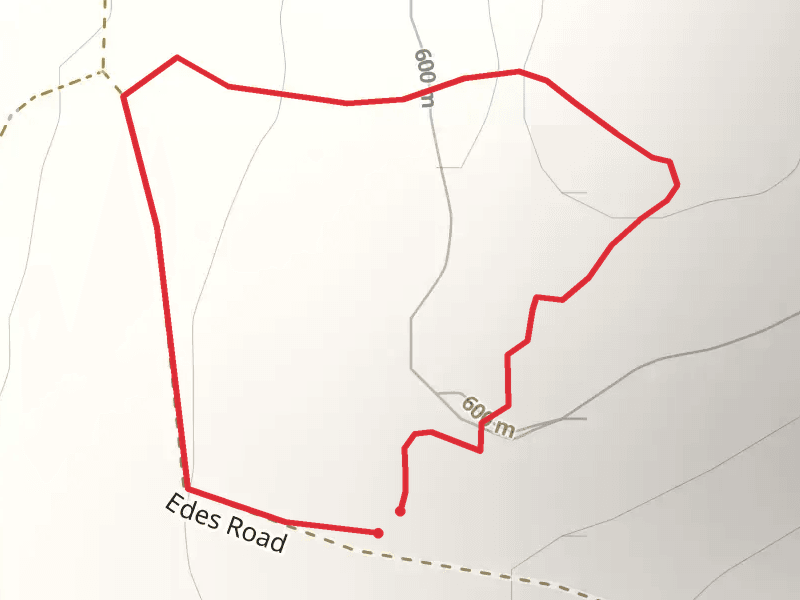 Edes Road Loop