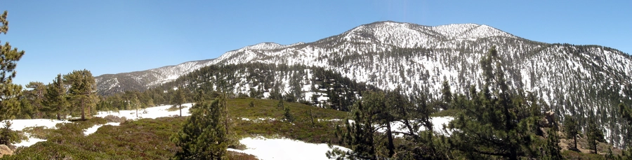 San Bernardino Peak Trail and Forsee Creek Trail