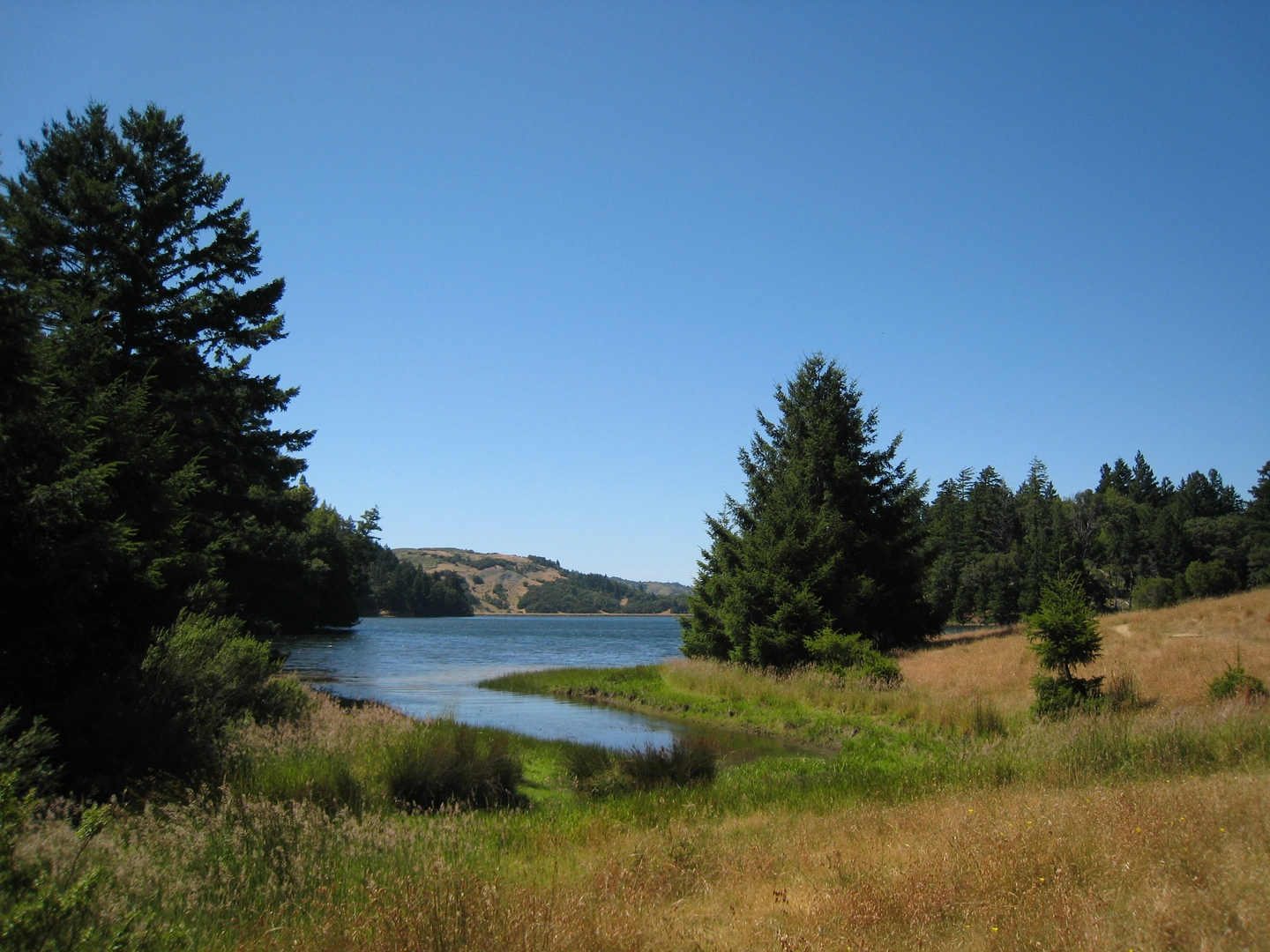 An image depicting the trail Bon Tempe Lake Loop and its surrounding area.