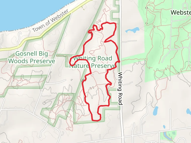 Orange Trail via Whiting Road Loop