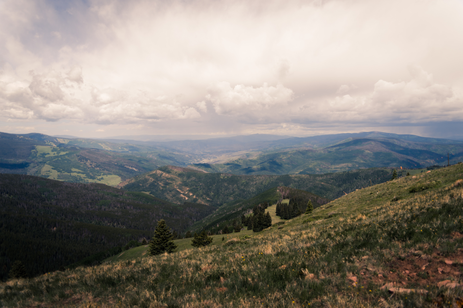 An image depicting the trail Cougar Ridge Trail and its surrounding area.