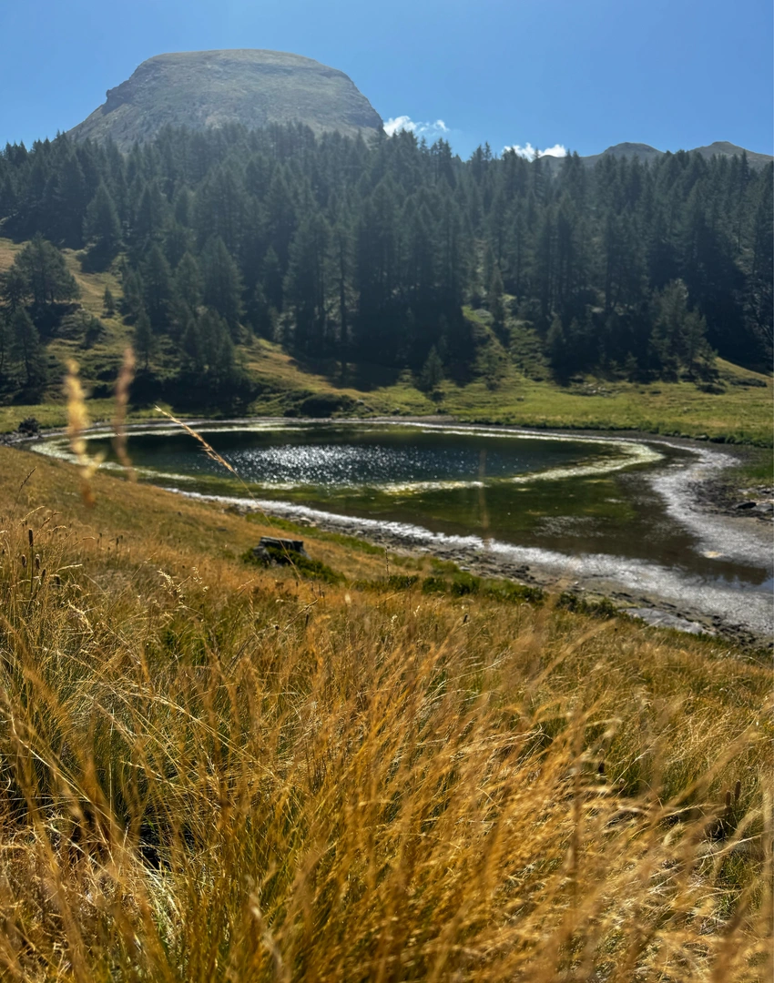 An image depicting the trail Lago Pojala and its surrounding area.