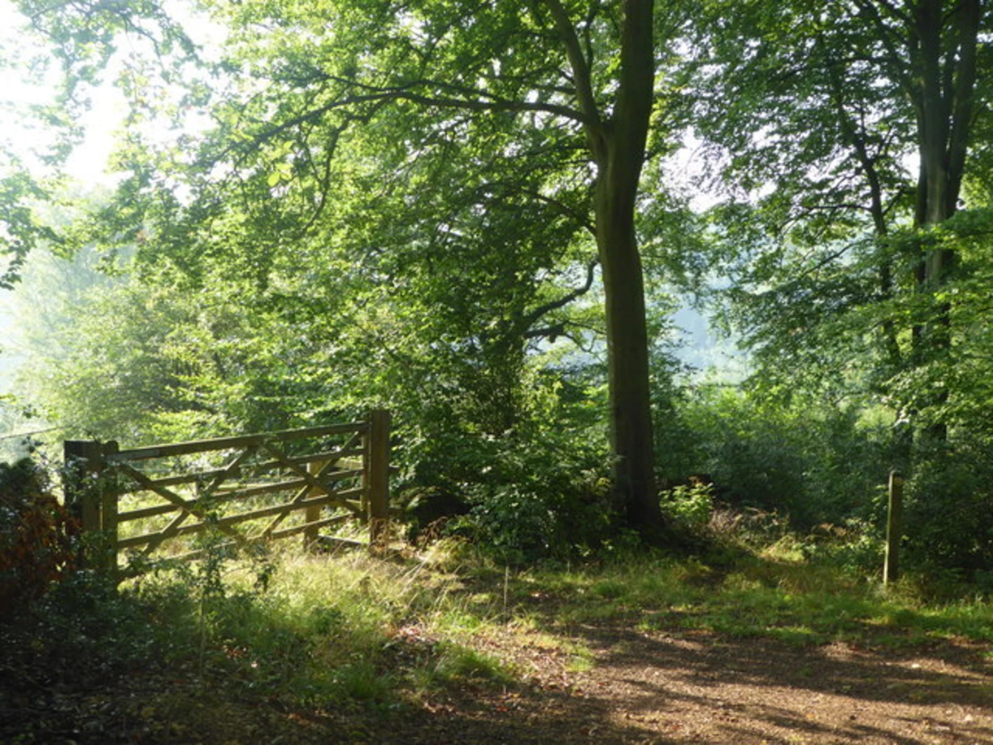An image depicting the trail Cranham to Paradise and its surrounding area.