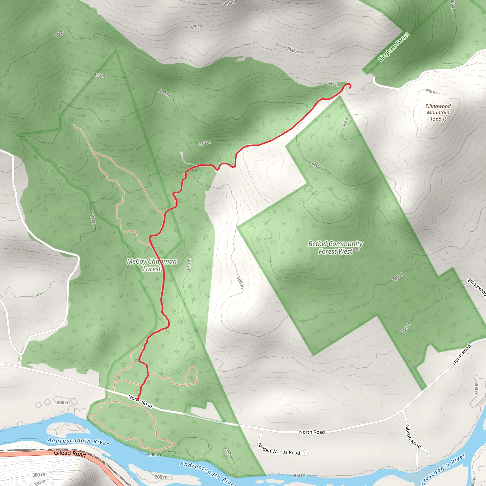 Bingham Forest from North Road mobile static map
