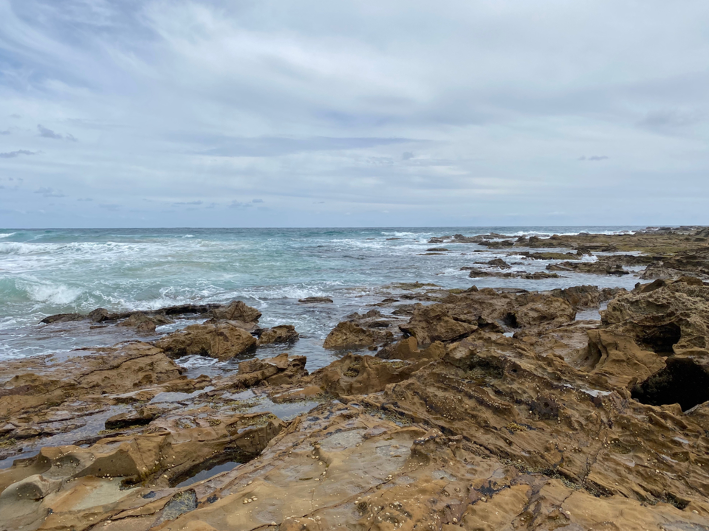 An image depicting the trail Bass Coast Walk and Rail Trail and its surrounding area.