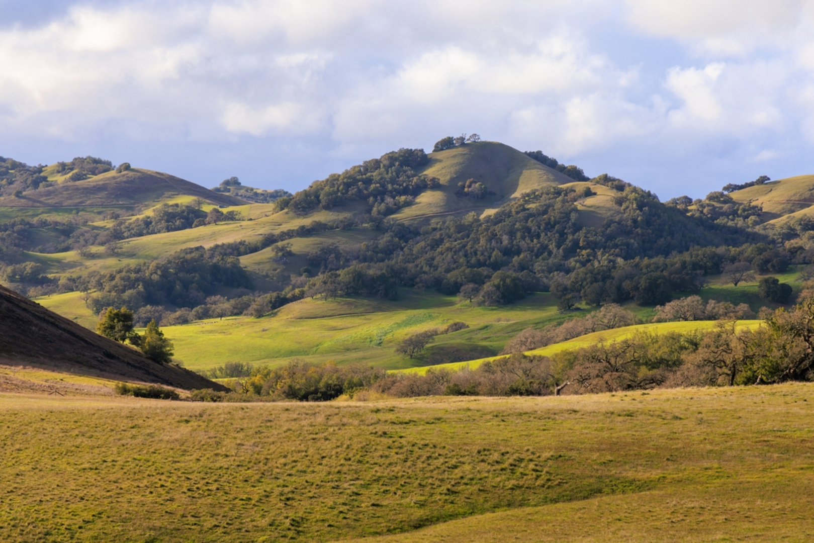 An image depicting the trail Burdell Mountain Loop and its surrounding area.