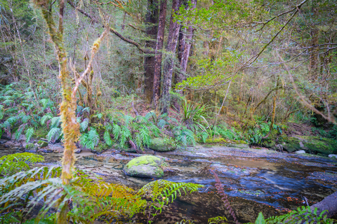 Johnson Creek Track