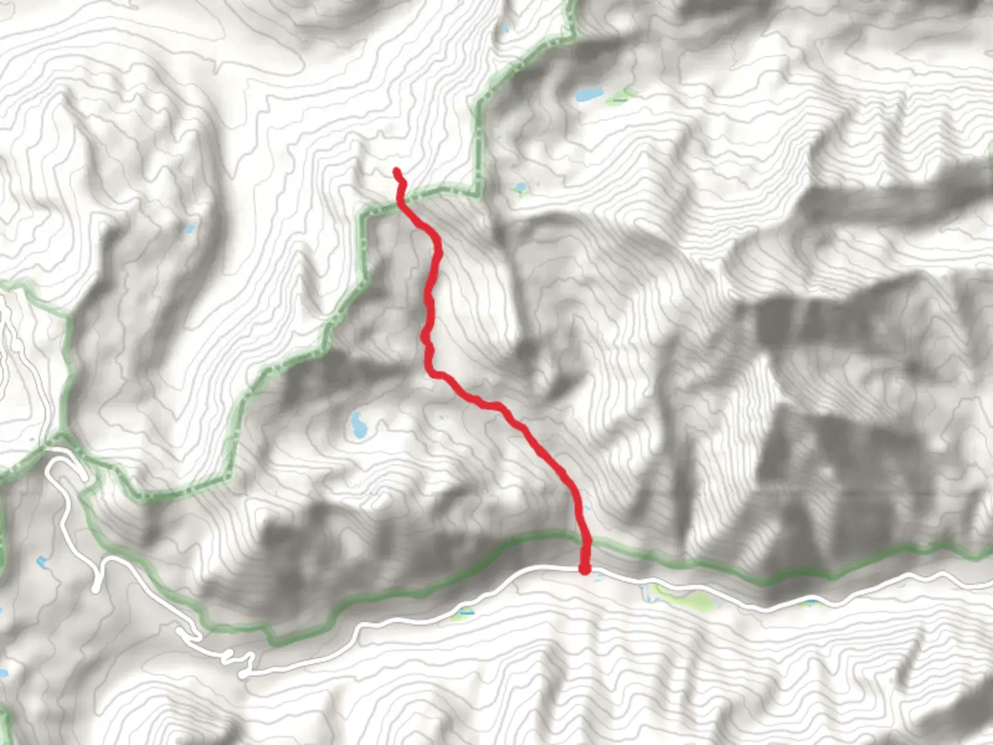 An image depicting the trail North Fork Denny Creek and its surrounding area.