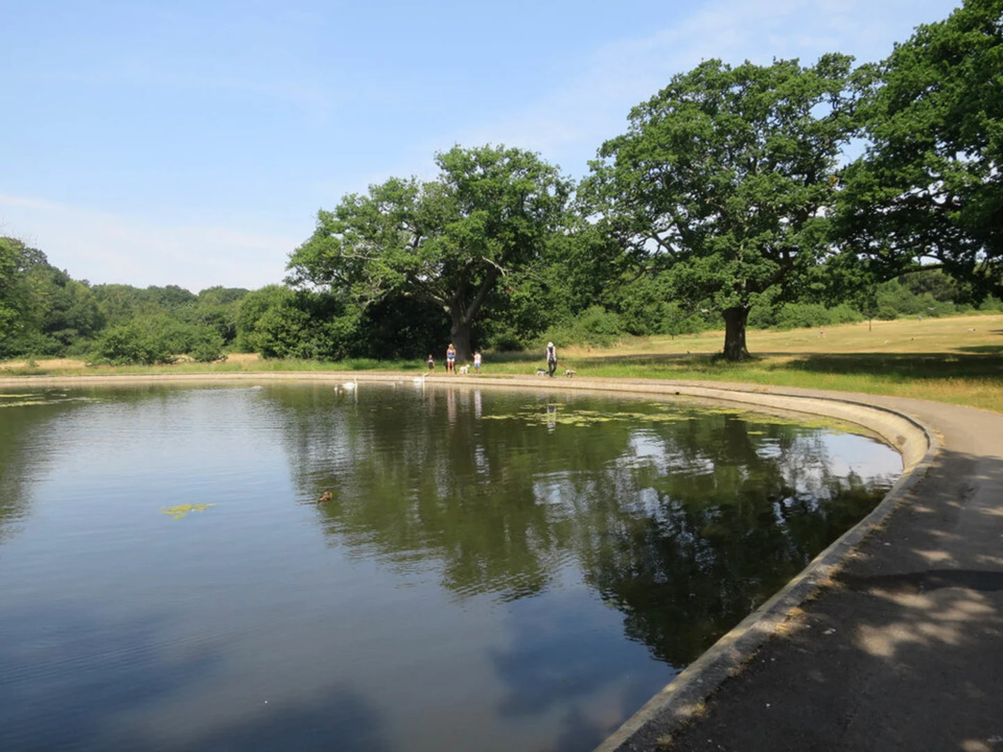 An image depicting the trail Southampton Common Loop and its surrounding area.