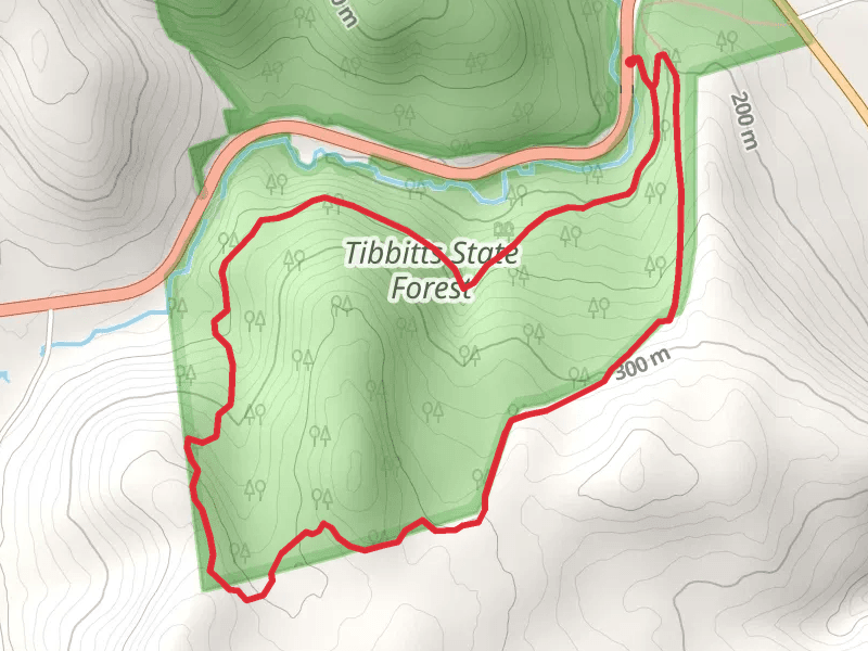 Tibbits State Forest Loop