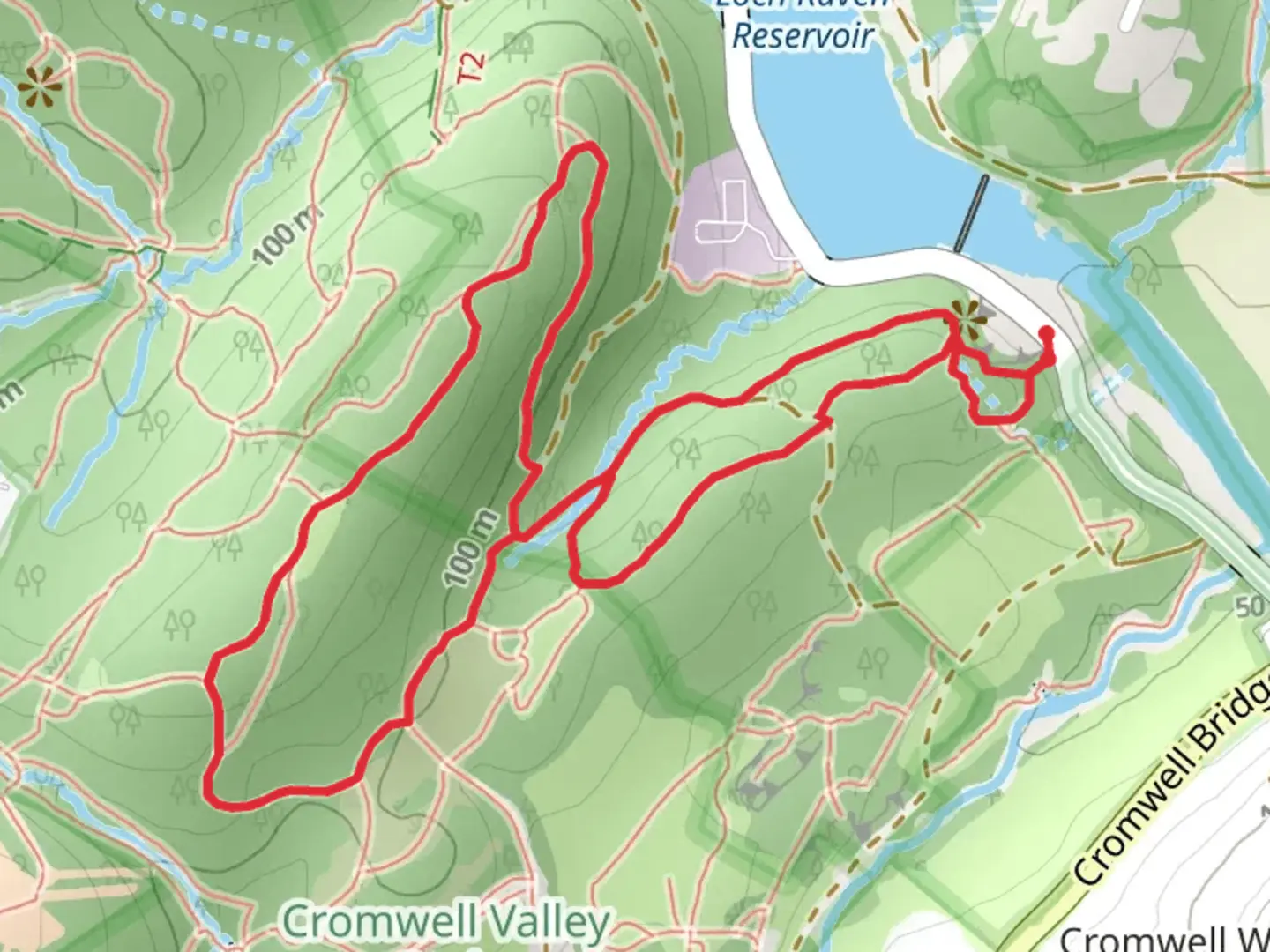 An image depicting the trail Fire Road, Meadow Trail and Willow Grove Loop Trail and its surrounding area.