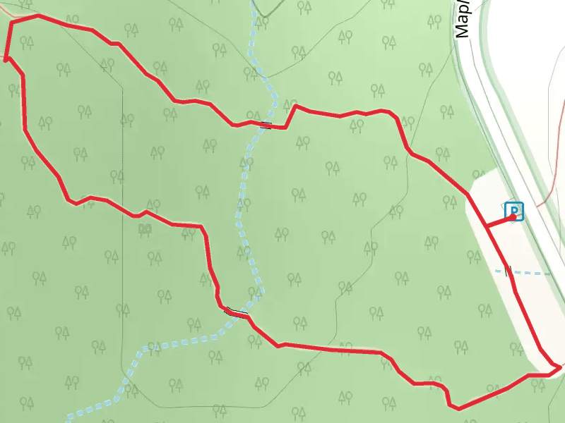 Tully Truxton Road Loop