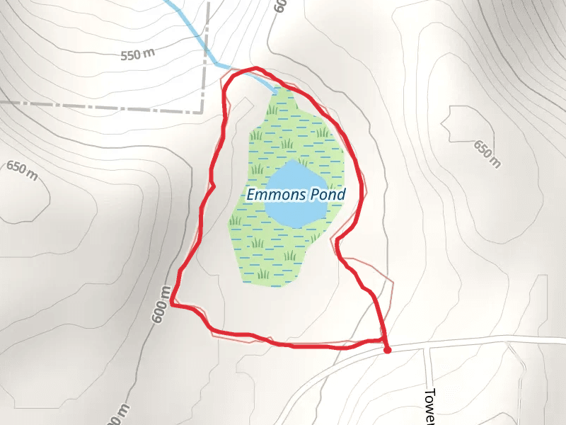 Emmons Pond Loop Trail