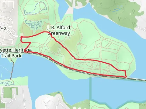 K rash and Alford Loop