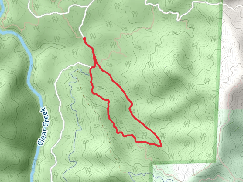 Salt Creek Loop