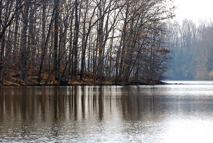 Pinchot Lake