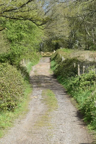 Abinger Roughs Nature Trail and North Downs Way