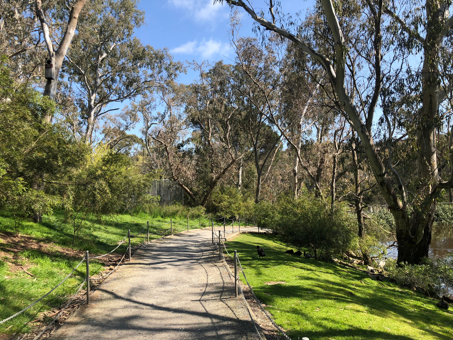 An image depicting the trail Heysen Trail and its surrounding area.