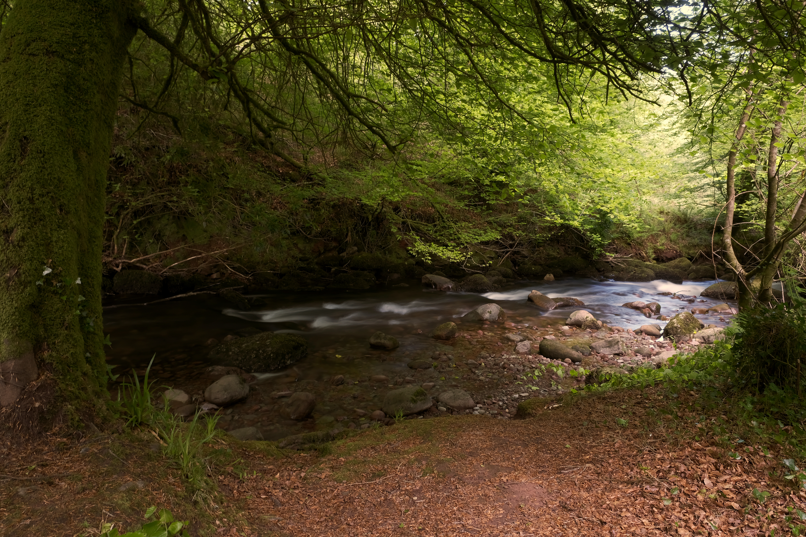 An image depicting the trail Ballyhoura - Attychraan Loop and its surrounding area.