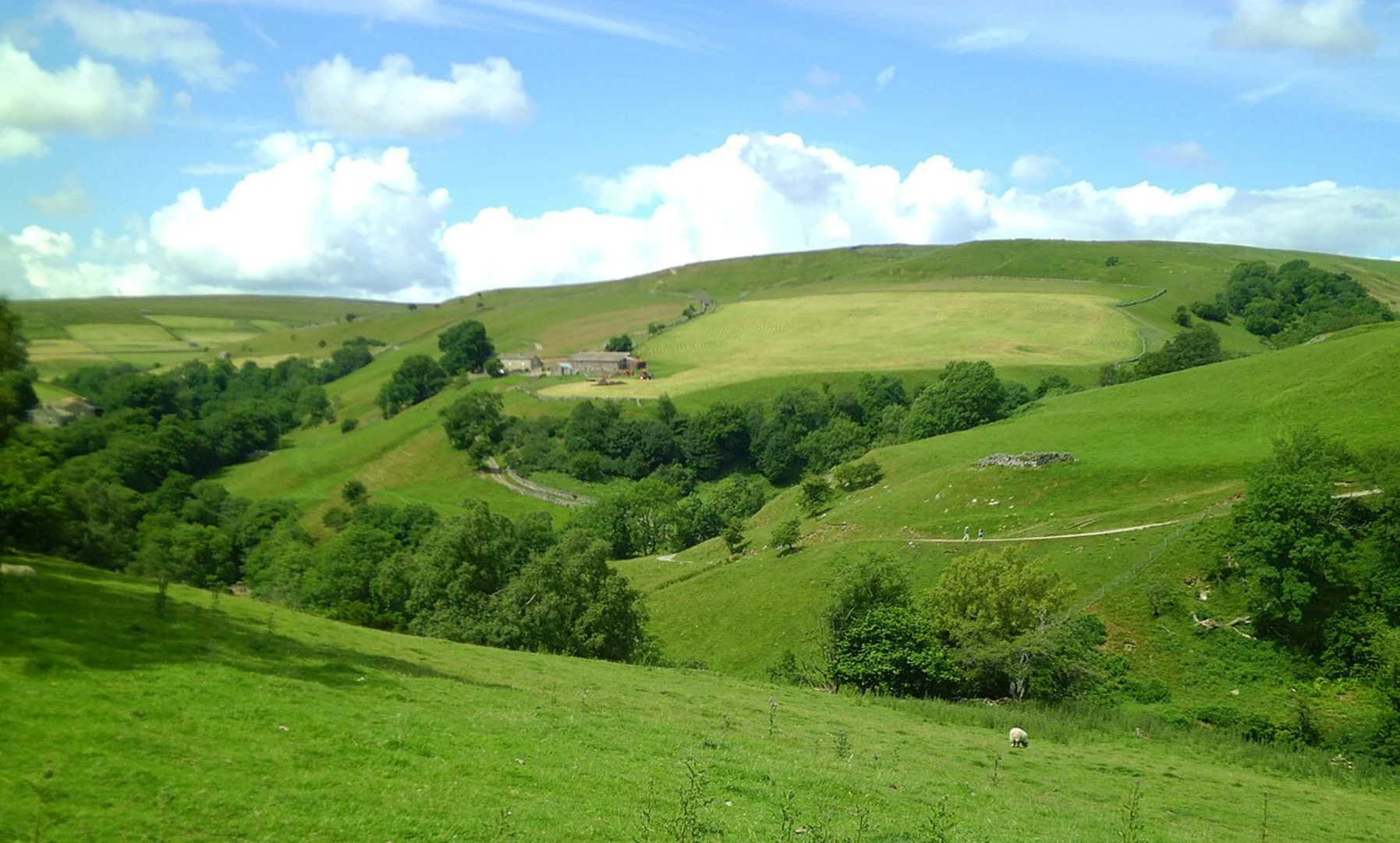 An image depicting the trail Birk Hill and Ruskin Wood via Herriot Way and Pennine Way and its surrounding area.