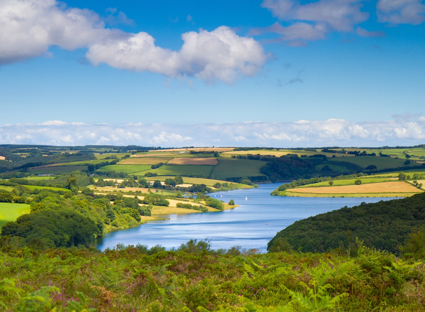 An image depicting the trail Wimbleball Trail 3 and its surrounding area.