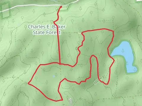 Chales E Baker State Forest Loop